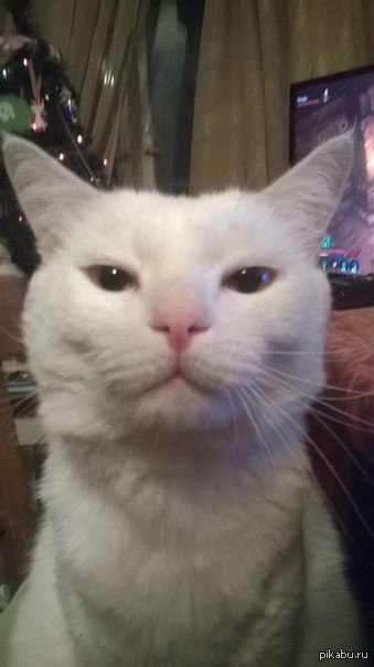 ��� ��� ������� �� ���� ��� �� ...