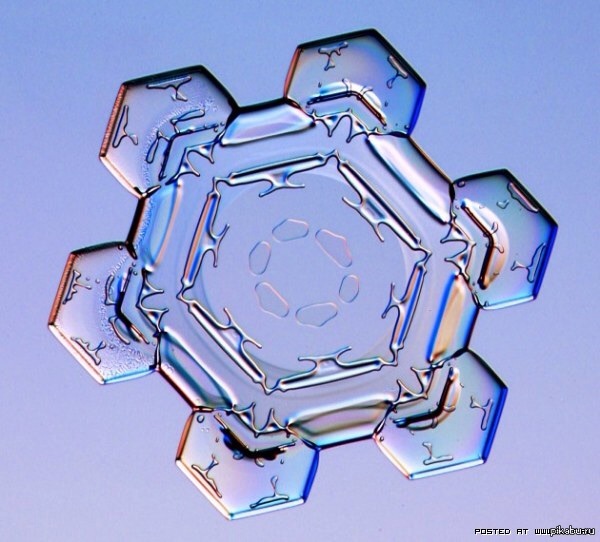 Молекула воды и льда. Кристаллы воды Масару Эмото. Снежинки Масару Эмото. Снежинки Масару Эмото для структурирования воды. Кристаллы воды под микроскопом.