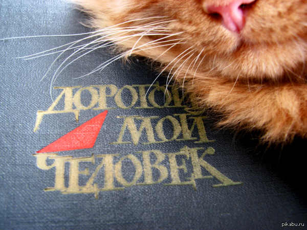 ������� ��� �������