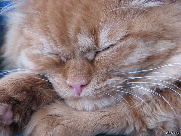 ����� ��� ��� ����� ������... ��������..