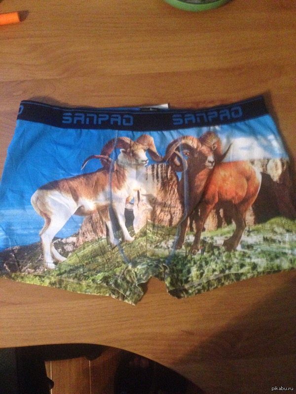 However, a New Year's gift - Favorite, Underpants, My