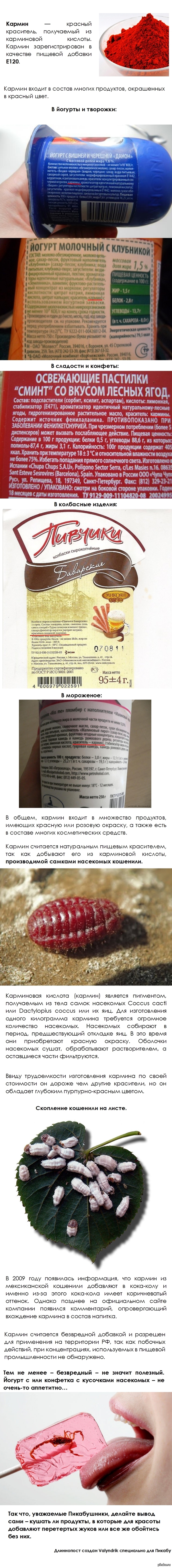 Мы - то, что мы едим. Красный краситель кармин.