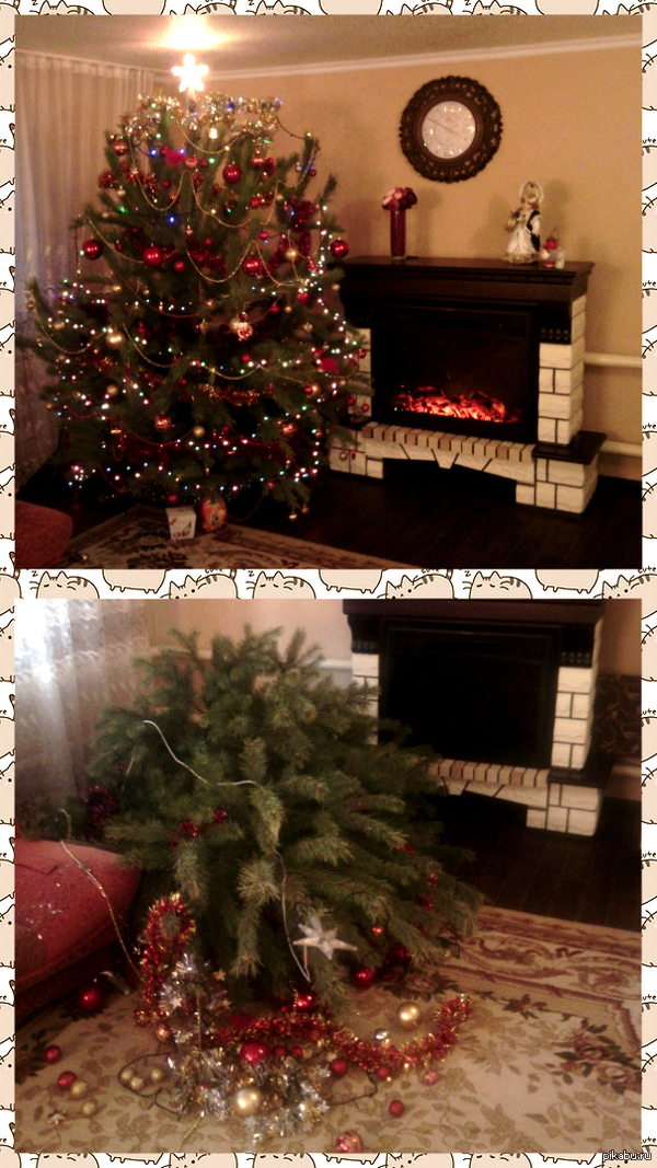 Котам-дизайнерам не понравилось