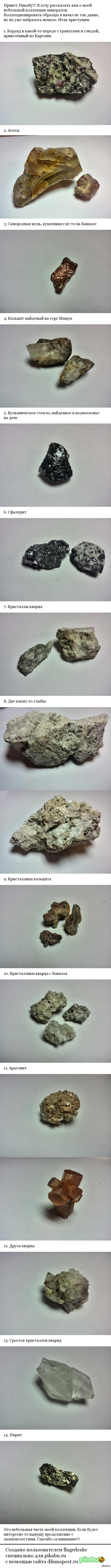 Моя коллекция