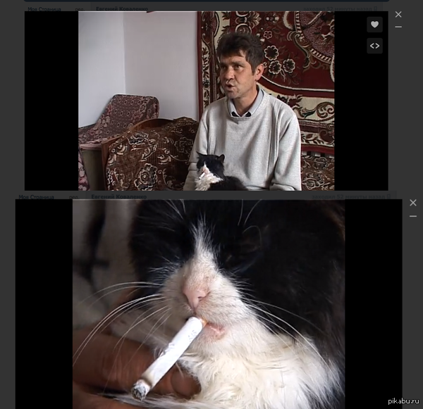 ������ - �����, �� ���� ���� �� � �����