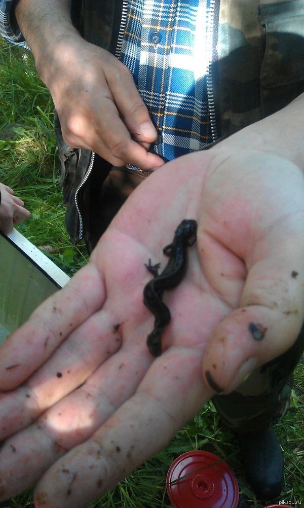 ������������ ������