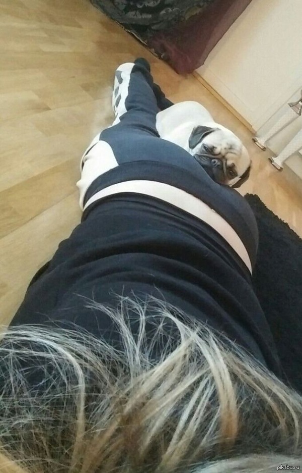 �������� ����� ��� ���