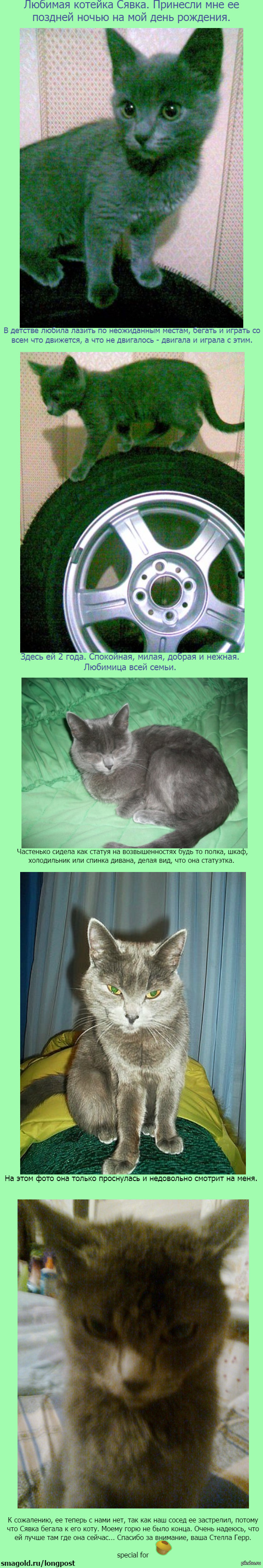 ����� �����.