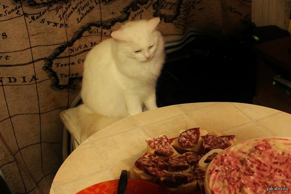 И снова я просто оставлю это здесь