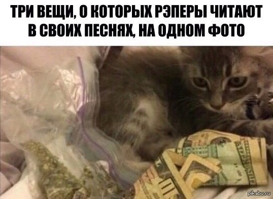 Pussy, money, weed 