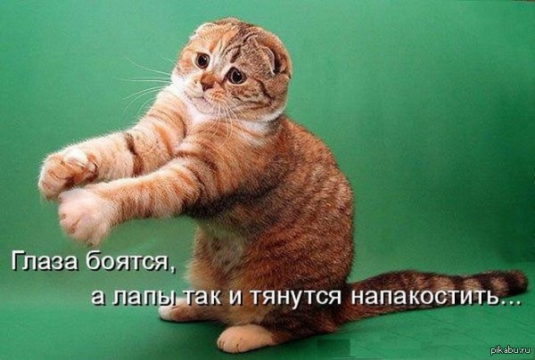   , ? 