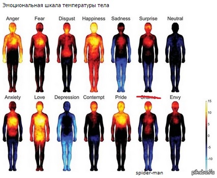     Marvel 