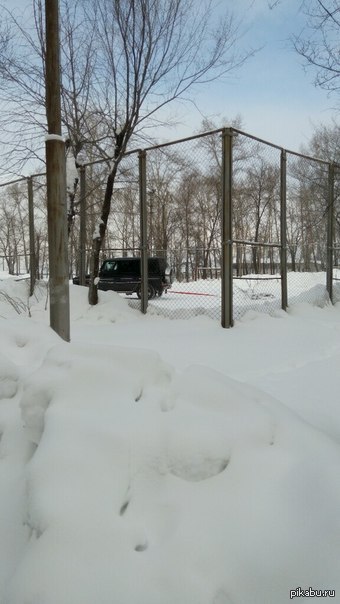 Хабаровск настолько суров...