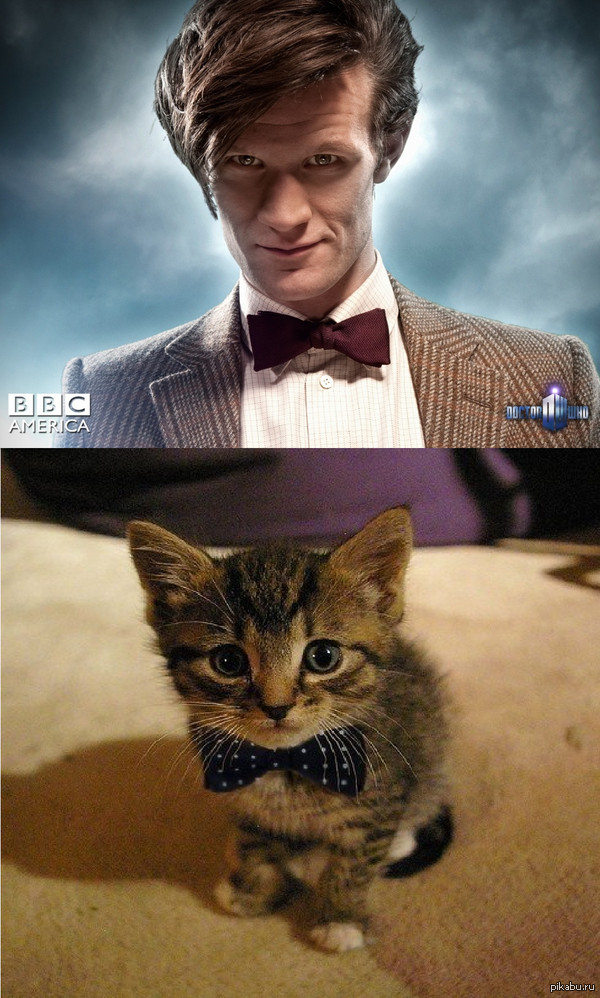 ����� ����������� ������� ���