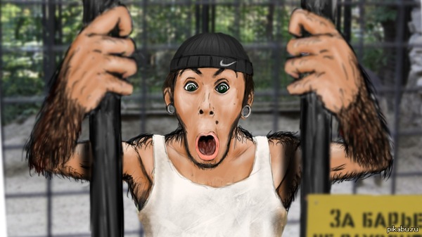 Макс 100500 в обезьяннике.