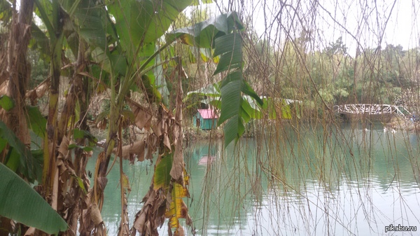 А тем временем в Адлере весна...