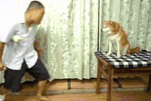 - 