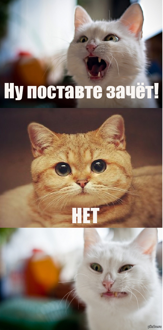 Вот и моя капля в море