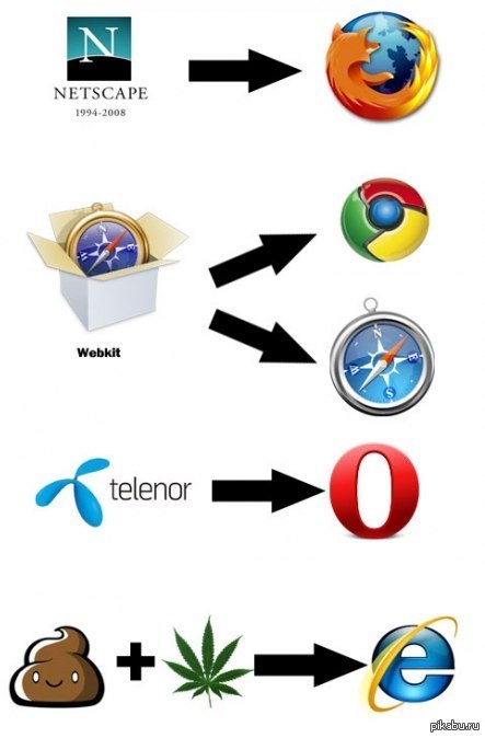 Evolution - Internet Explorer, Opera, Mozilla, Google chrome