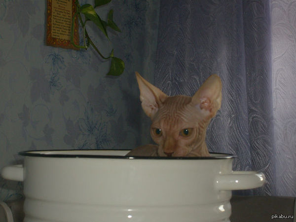 �� �� ������ �����? ������ �� �� ������ �� ��������!