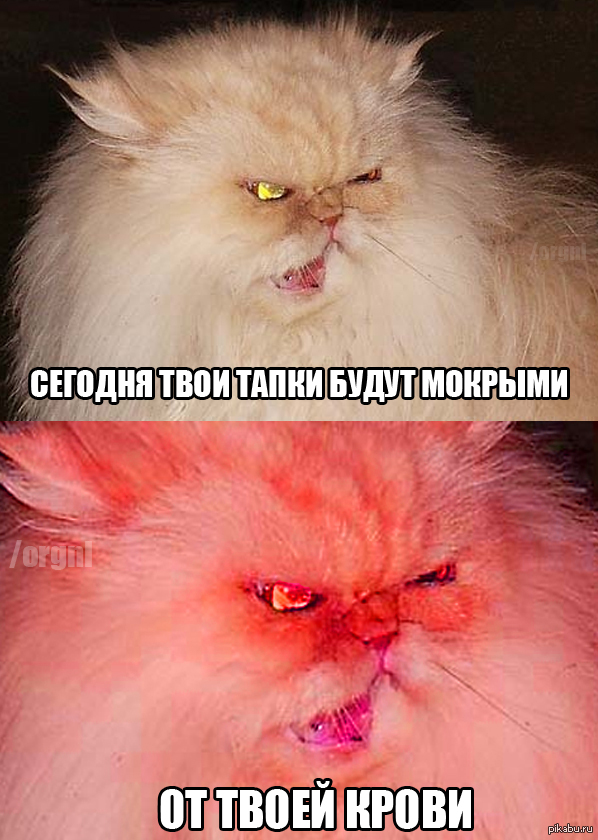 ����������� �����