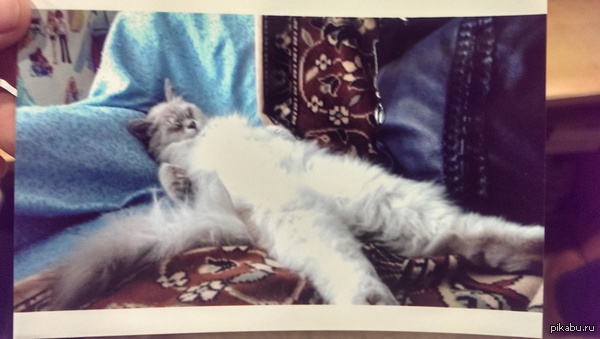 ������� �������� ���� ������ ���� .