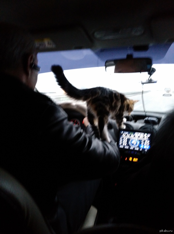 �����-�������.