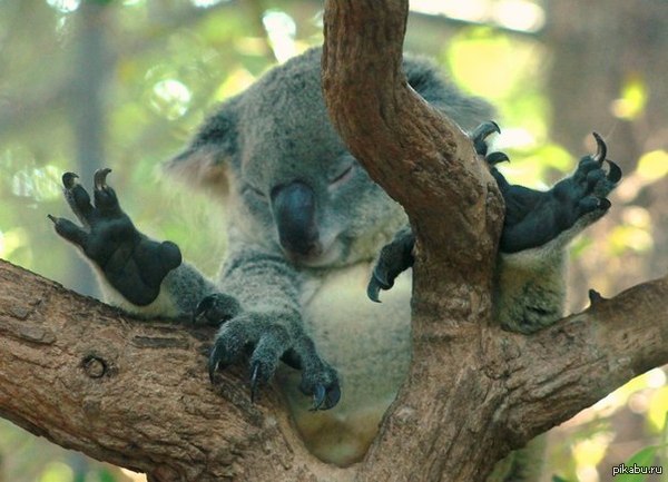 ������. ������ ����� � �������� ��������, �������.