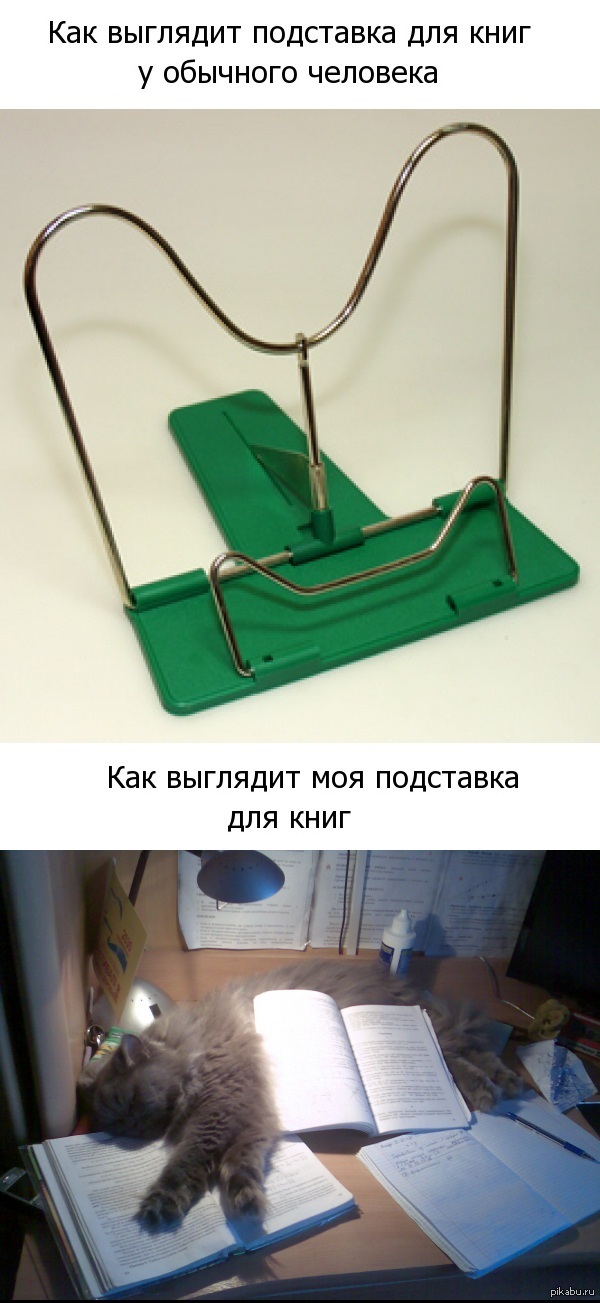 Как выглядят подставки