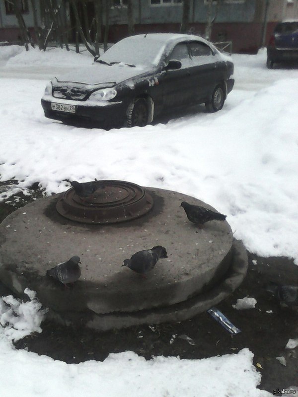 ������ �������