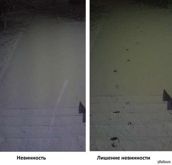 Невинность и лишение невинности