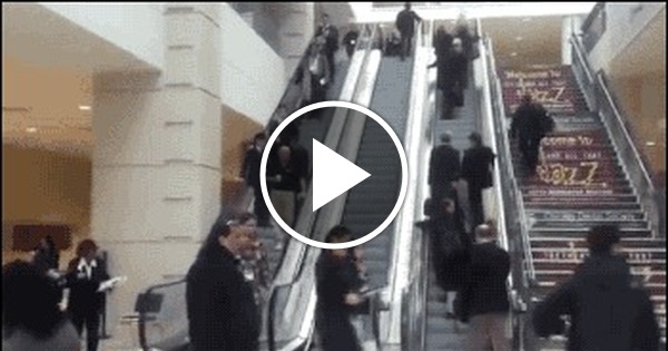 Clown Throwing Pie On Escalator