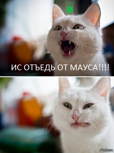 В продолжение, так сказать....