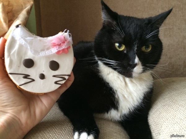 Клиент недоволен