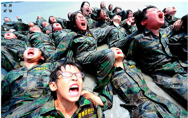 Пользователям Пикабу из 2009 г. сказали, что в будущем посты с голыми сиськами будут выходить в горячее каждый день