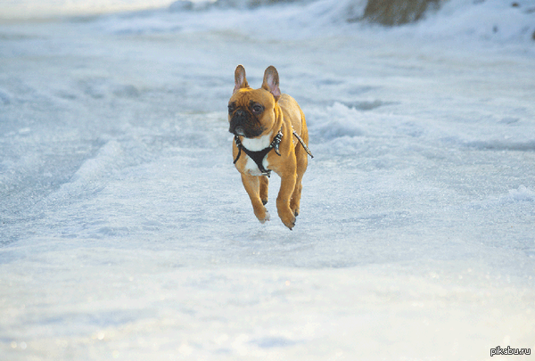 ������� ���.