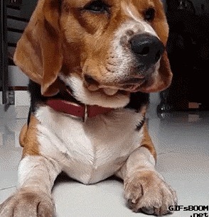   ,  