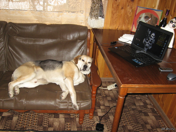 ��� ����