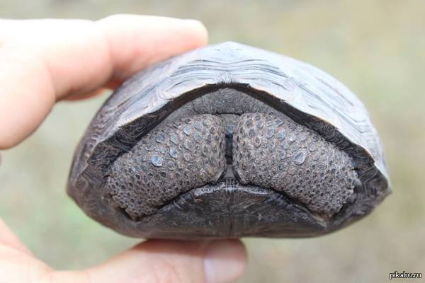 &quot;    ,     ,       150 