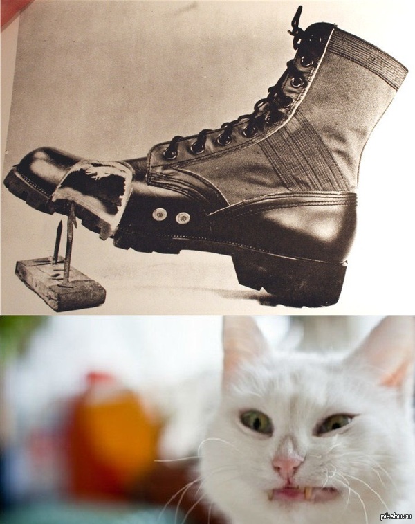 ������ ��������� ��� ����