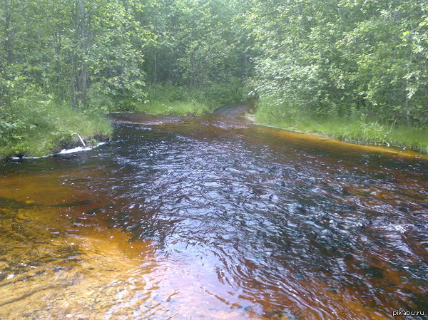 ������ ����