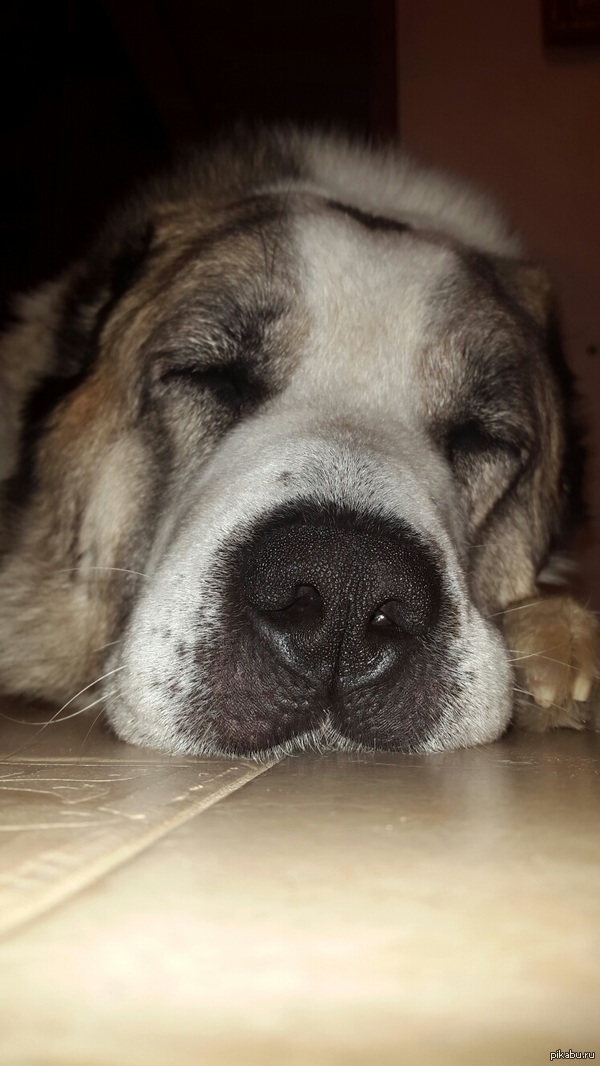 ������  �����