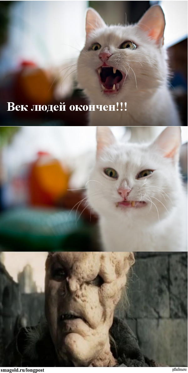 ��� ����� �������!!!