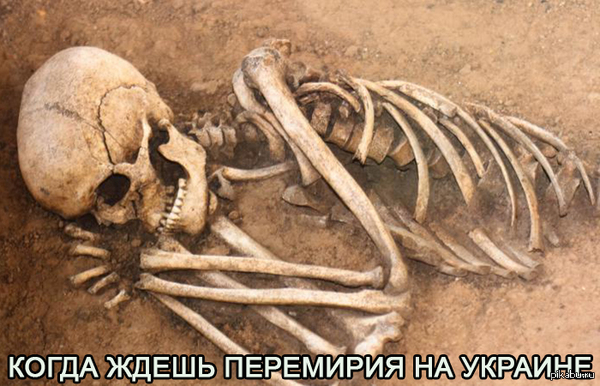 ������ �� �� ���� ����� �������...