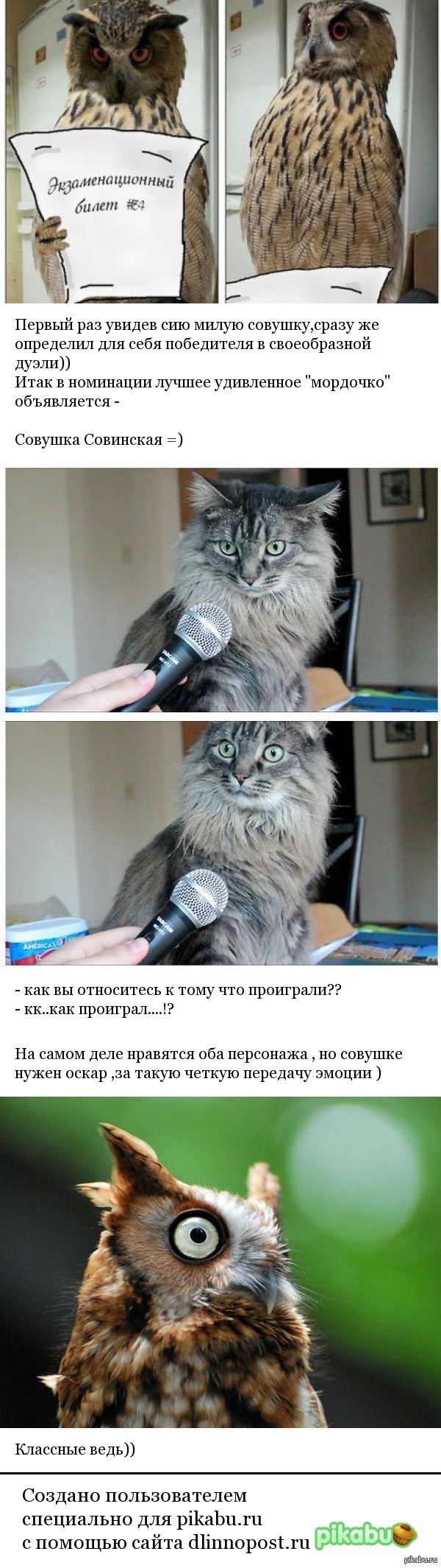 Совушка vs Котофей