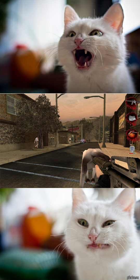 Oh, tomorrow it will hurt. - NSFW, Postal 2, cat, Mustachioed girls