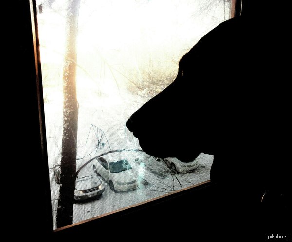 ������ ������� � ����.