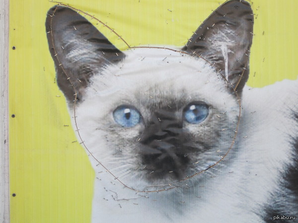 ������ �����