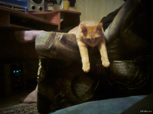 ��� �������.