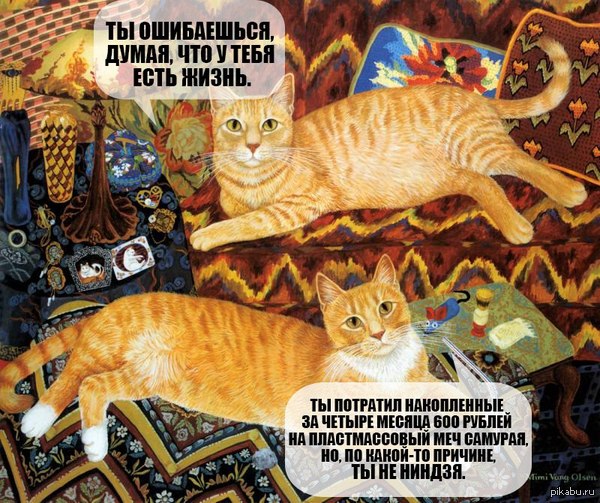 Кот херни не скажет